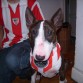 aupa athletic